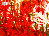 Hellflower Lullaby (hellflowerlullaby)