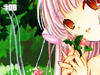 Scent of Flowers (scentofflowers)
