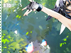 Sparkling Clearing (sparklingclearing)